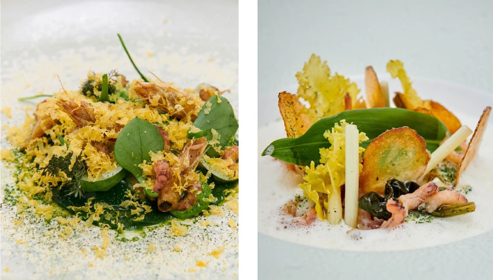 David Grosdent - L’Envie