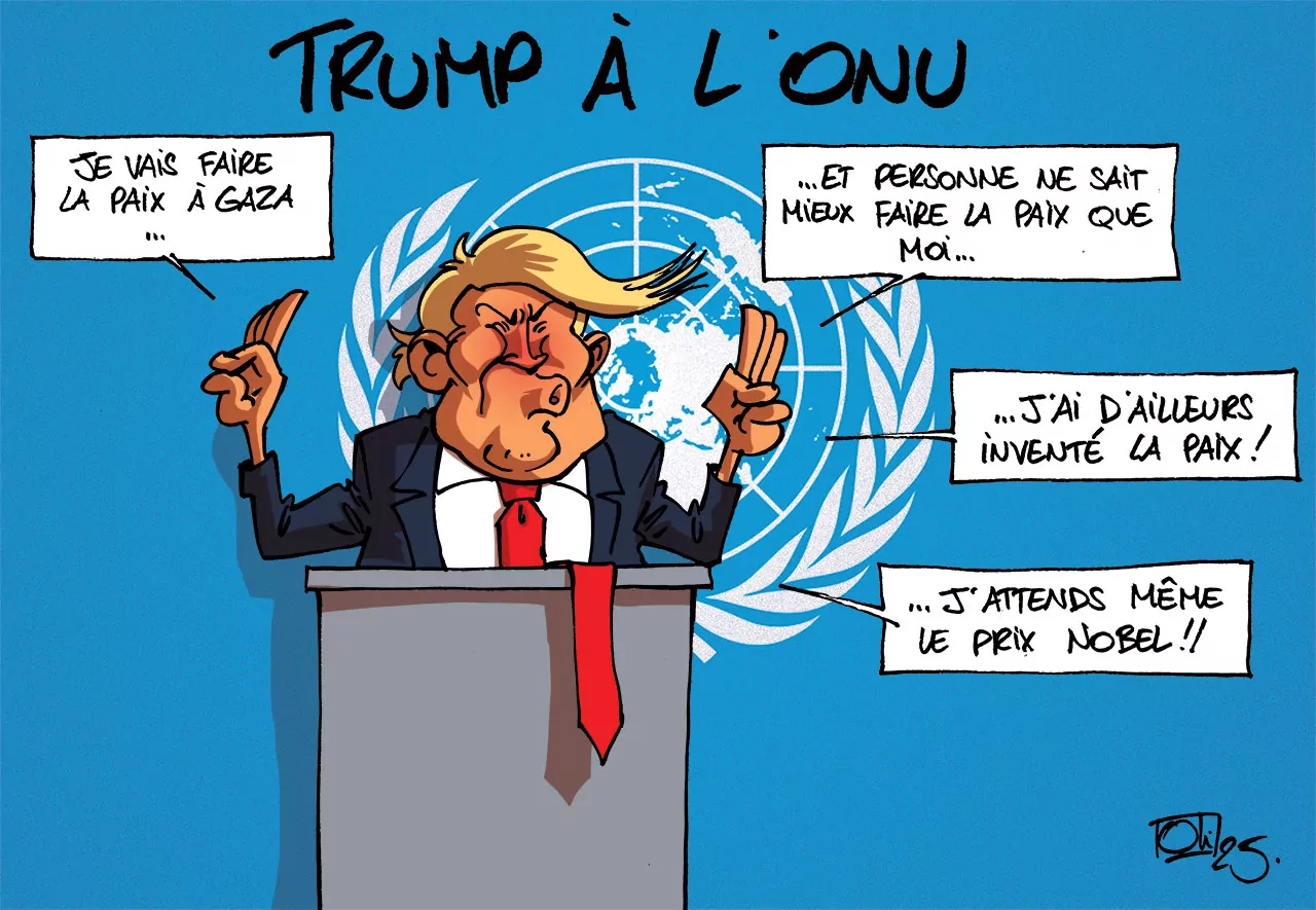 MS20251002_ONU-FR-Web