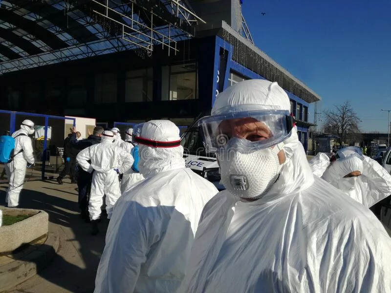 Hantavirus : un navire de croisière, une souris sylvestre et la frontière fictive entre santé humaine et santé animale