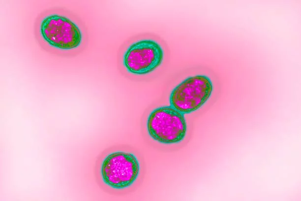 L’IA intégrée au dossier patient : une première européenne à Saint-Luc