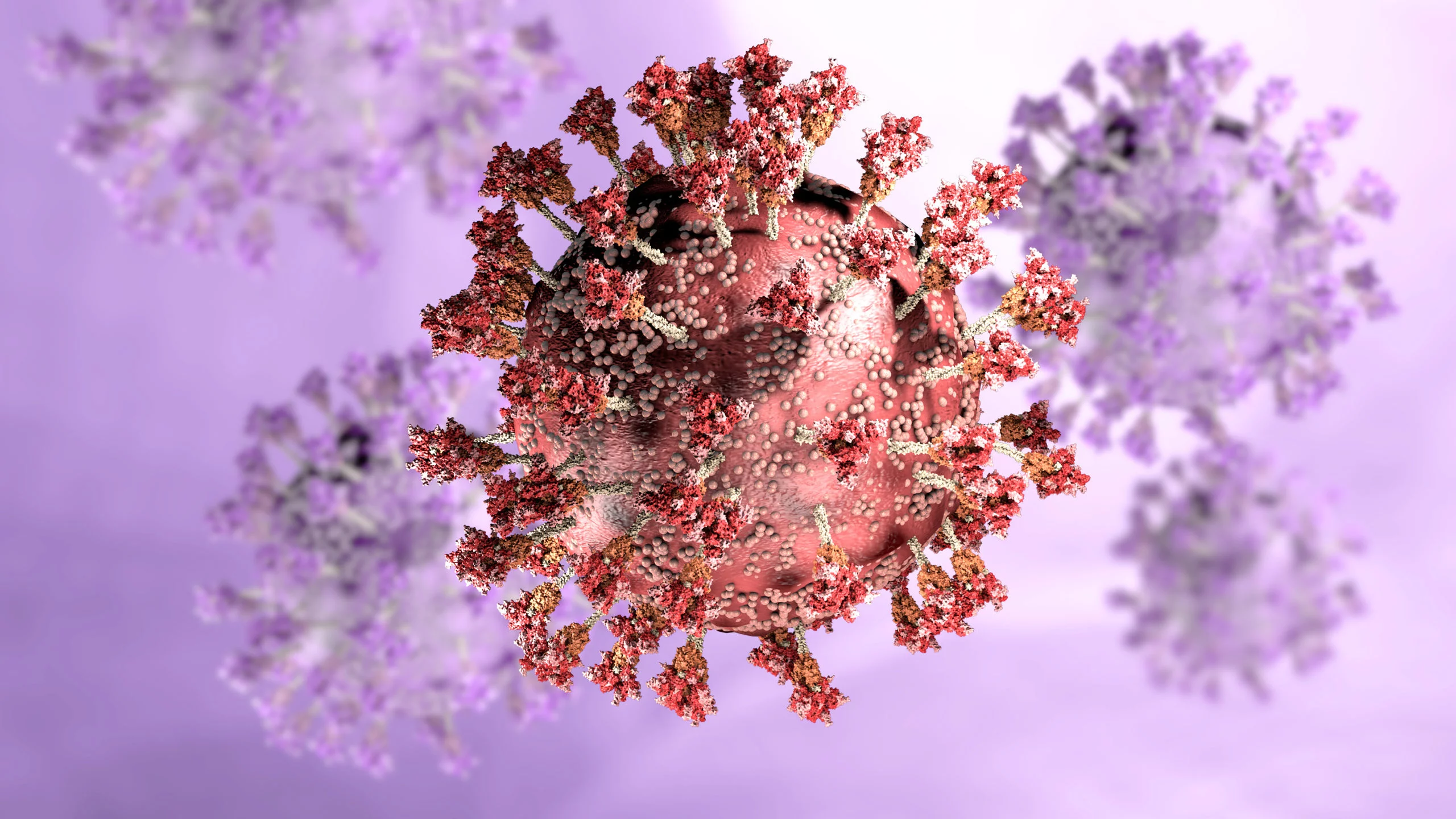Het SARS-CoV2 kan resistent worden na een antivirale behandeling