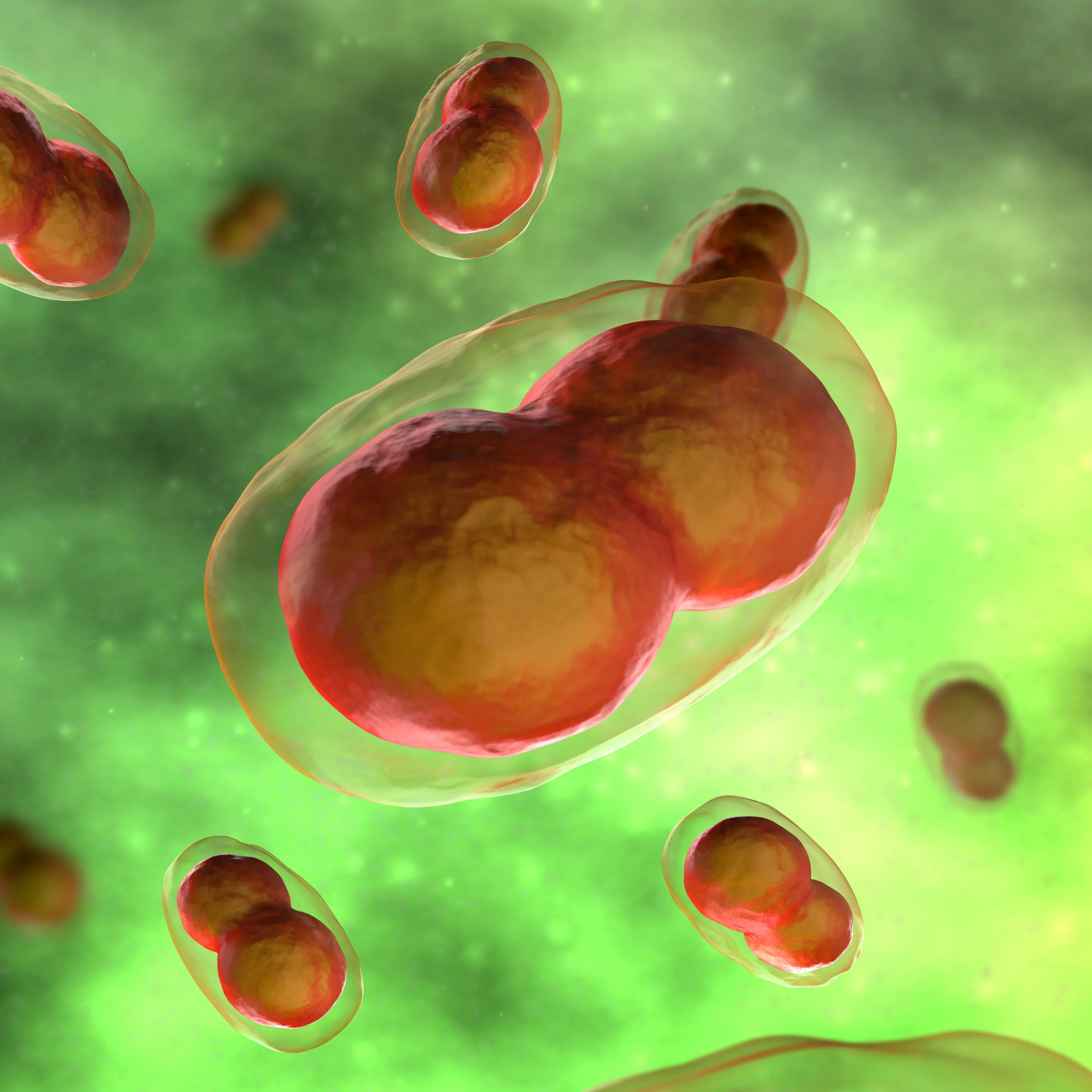 Viroloog bezorgd over uitbraken apenpokken