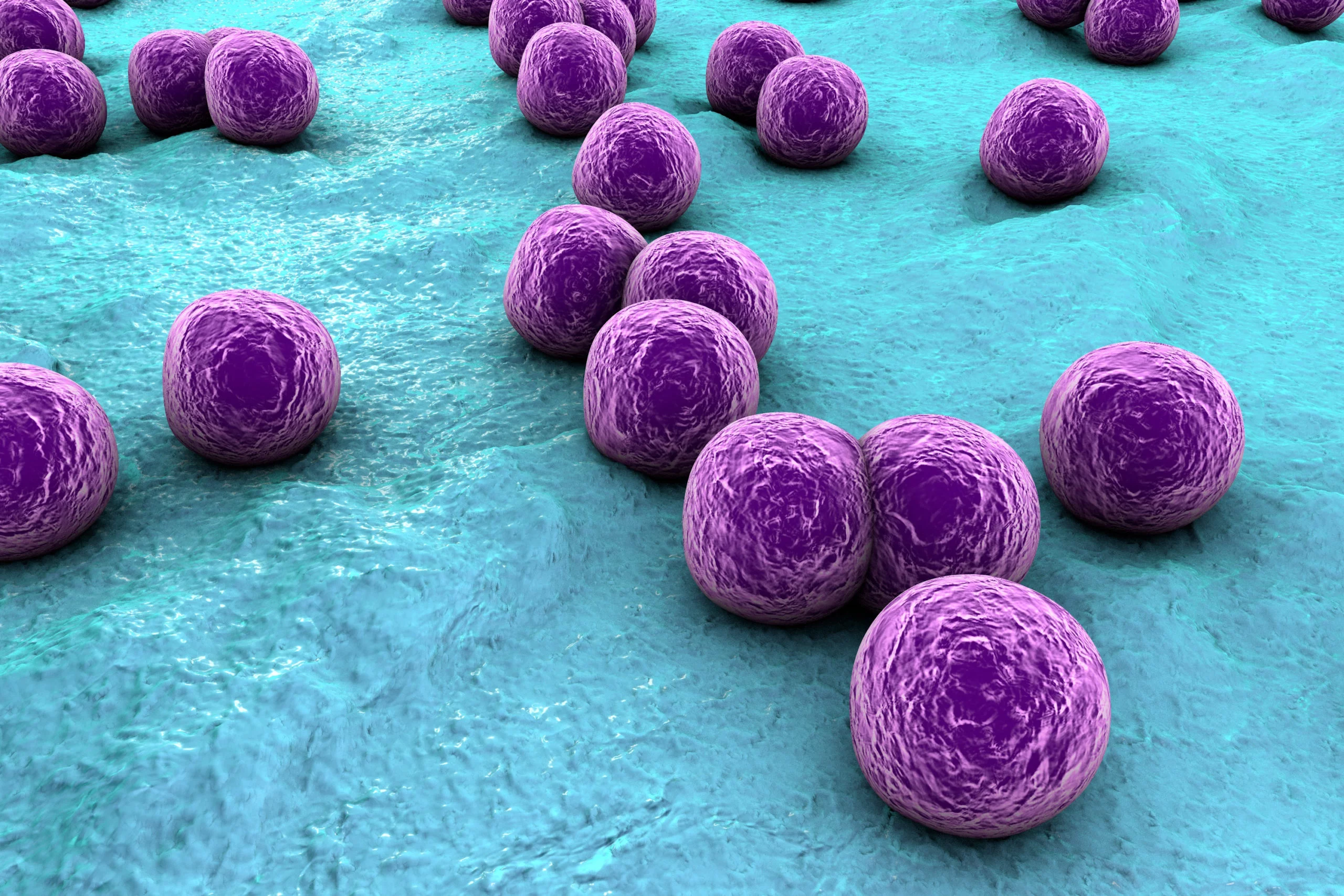 Staphylocoque doré : un facteur aggravant de l’épidermolyse bulleuse dystrophique chez l’enfant