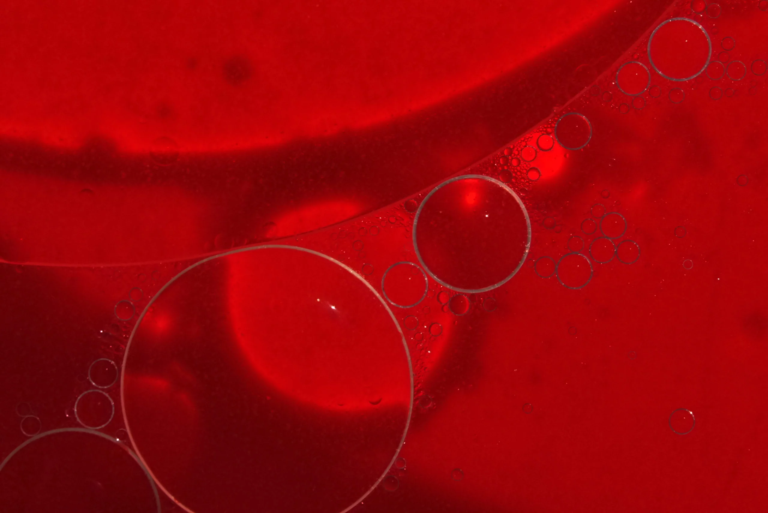 In de praktijk: direct werkende orale anticoagulantia