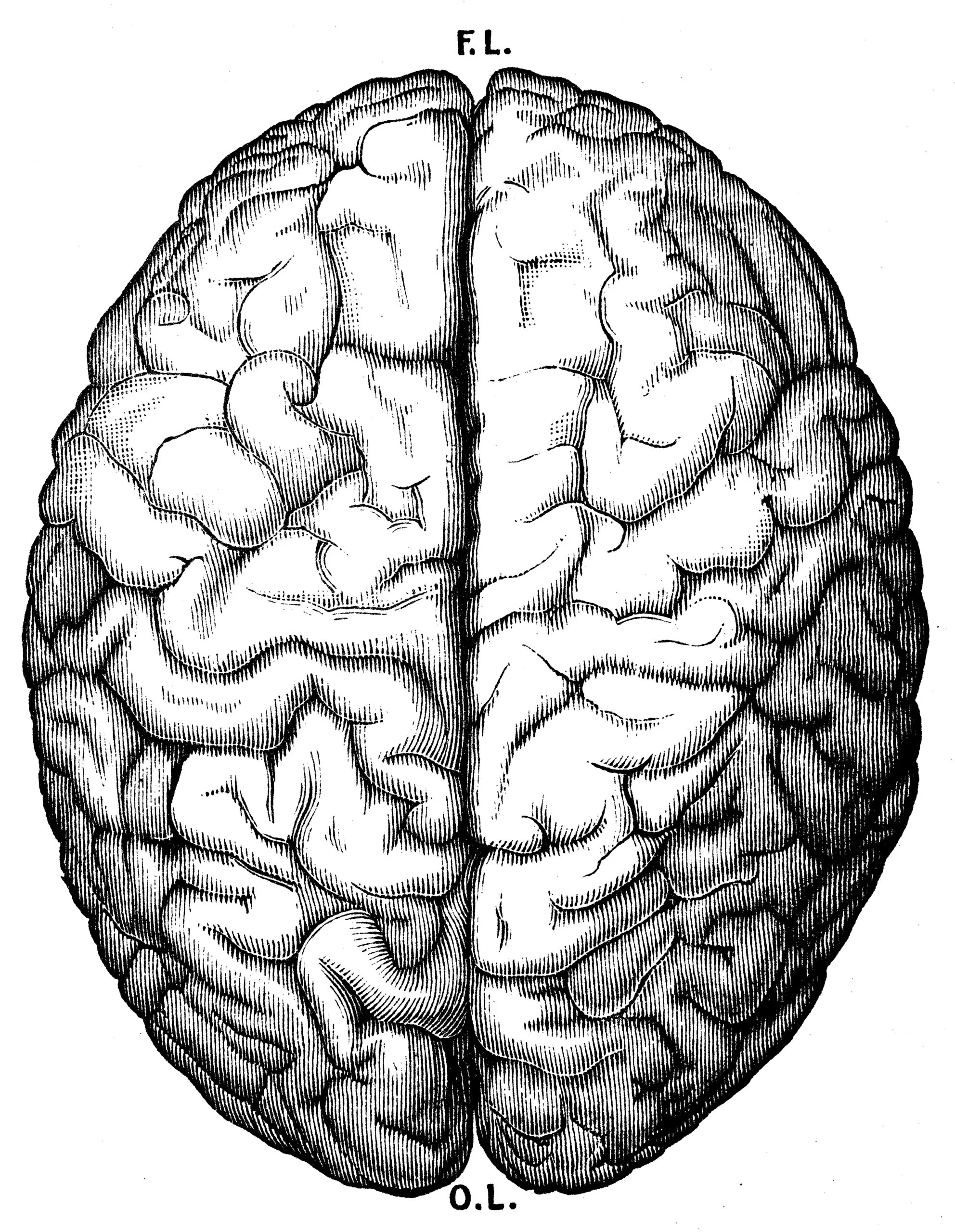 Pourquoi l'oubli est-il bénéfique ?