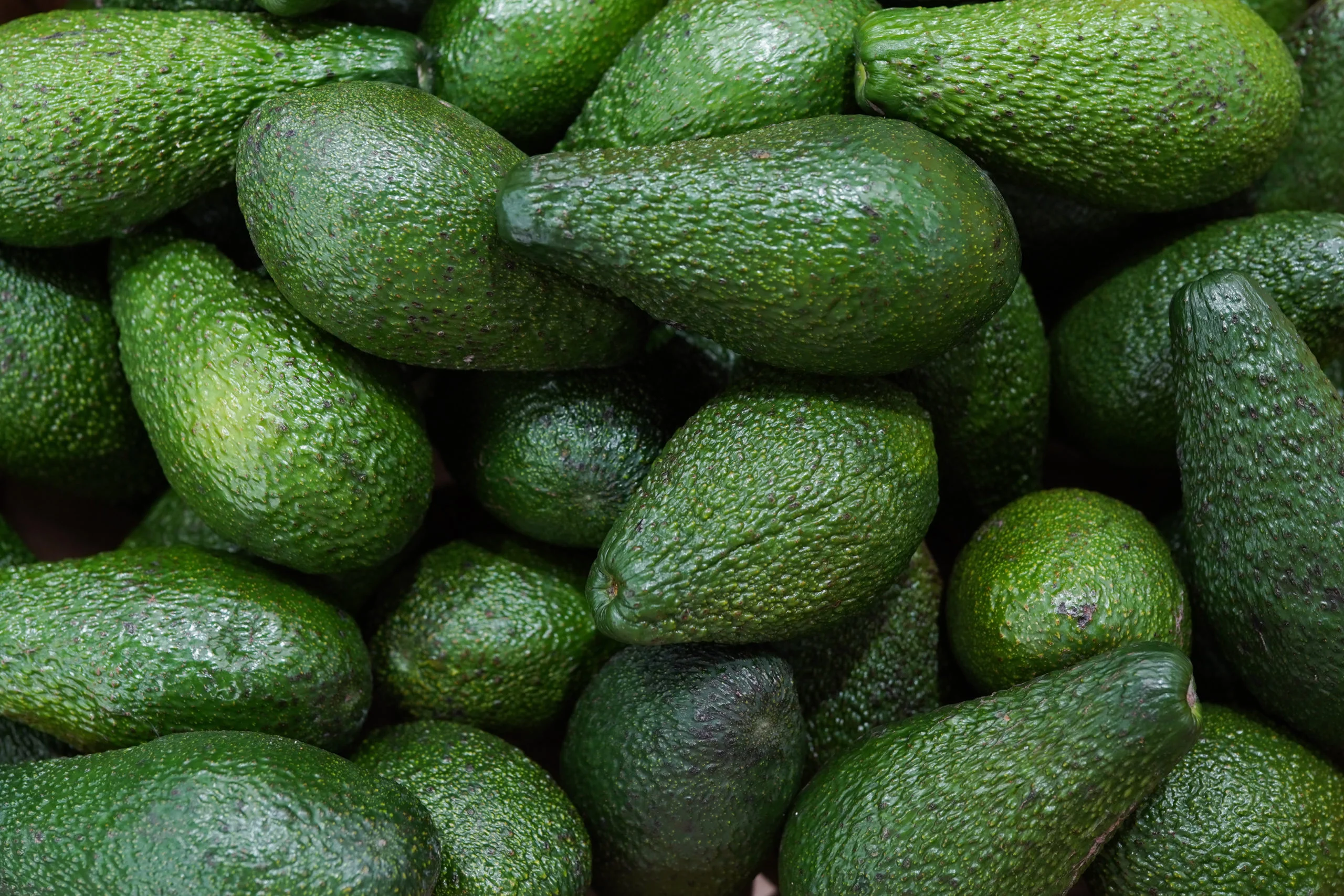 Avocado eten tijdens de zwangerschap zou het risico op voedselallergie bij de baby kunnen verlagen
