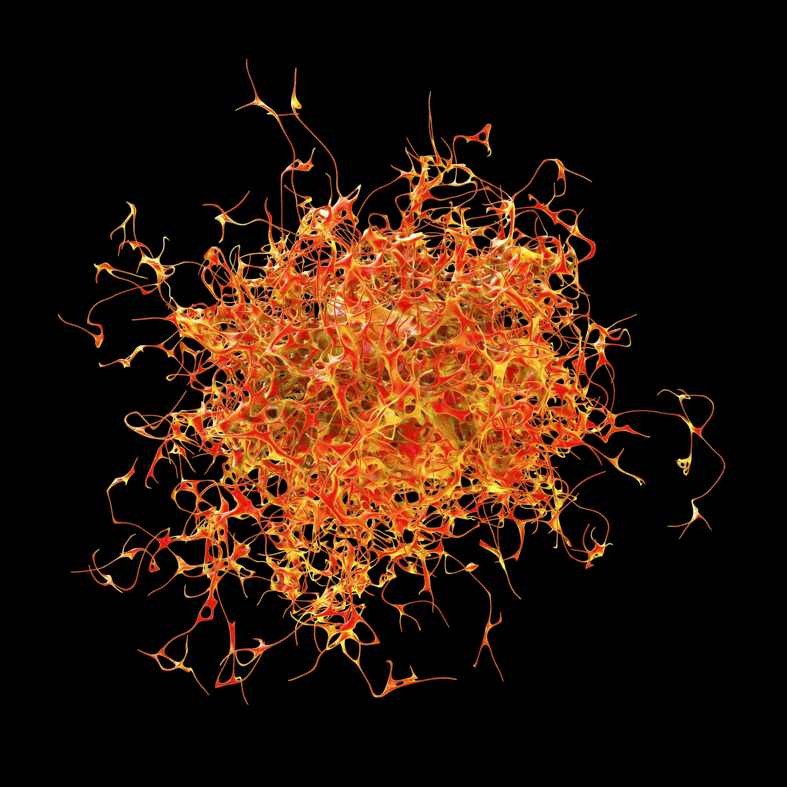 De overleving van patiënten met een melanoom hangt af van de dikte van de tumor