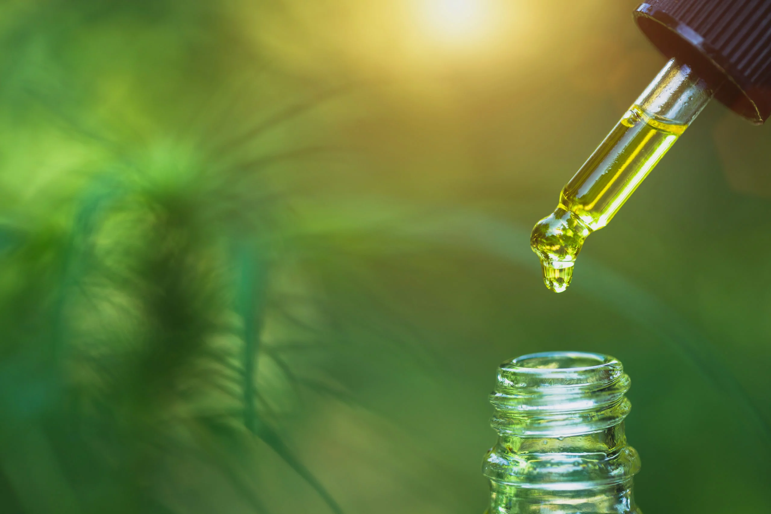 CBD: hoop bij de behandeling van schimmelinfectie