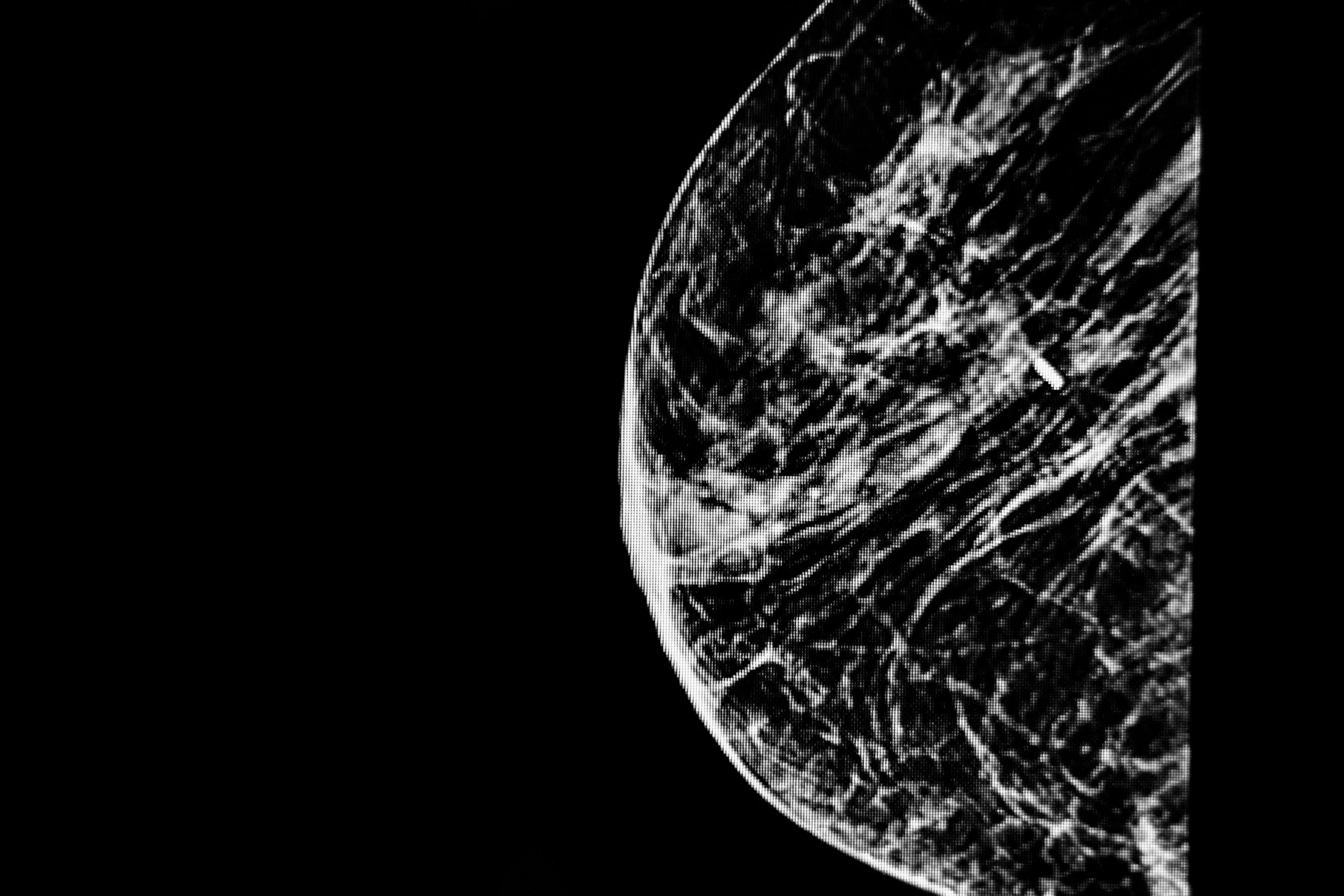 Michelangelo en de weergave van borstkanker in “De Zondvloed”