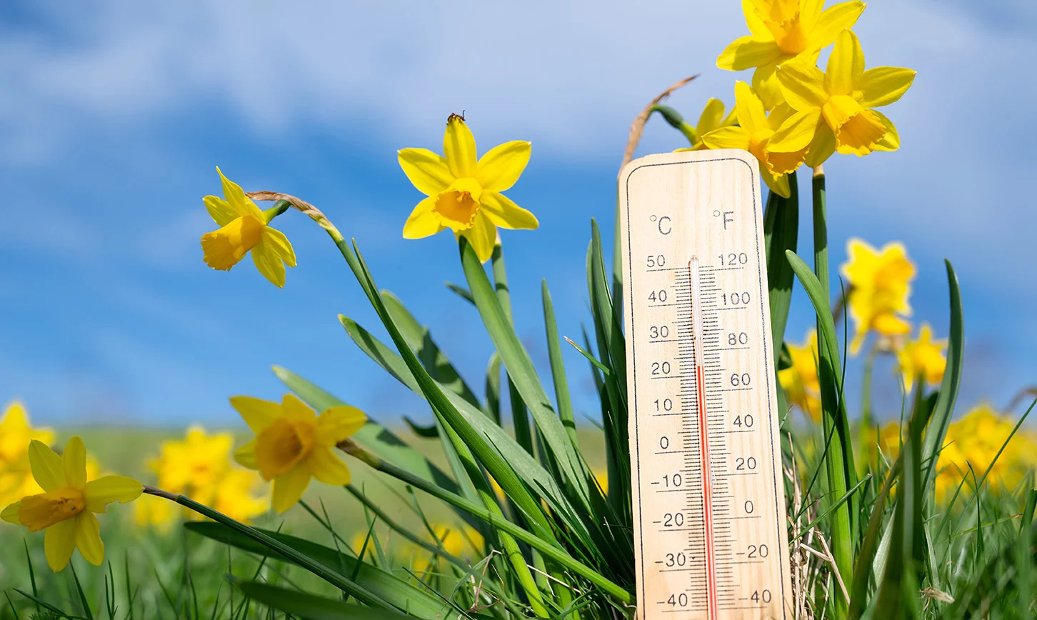 Koude of warmte, welke van de twee doodt het meest? En hoelang nog?