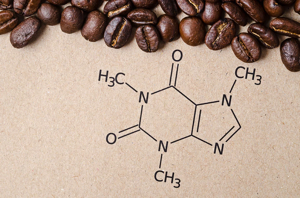 Caféine et transit intestinal : une relation en U à manier avec discernement