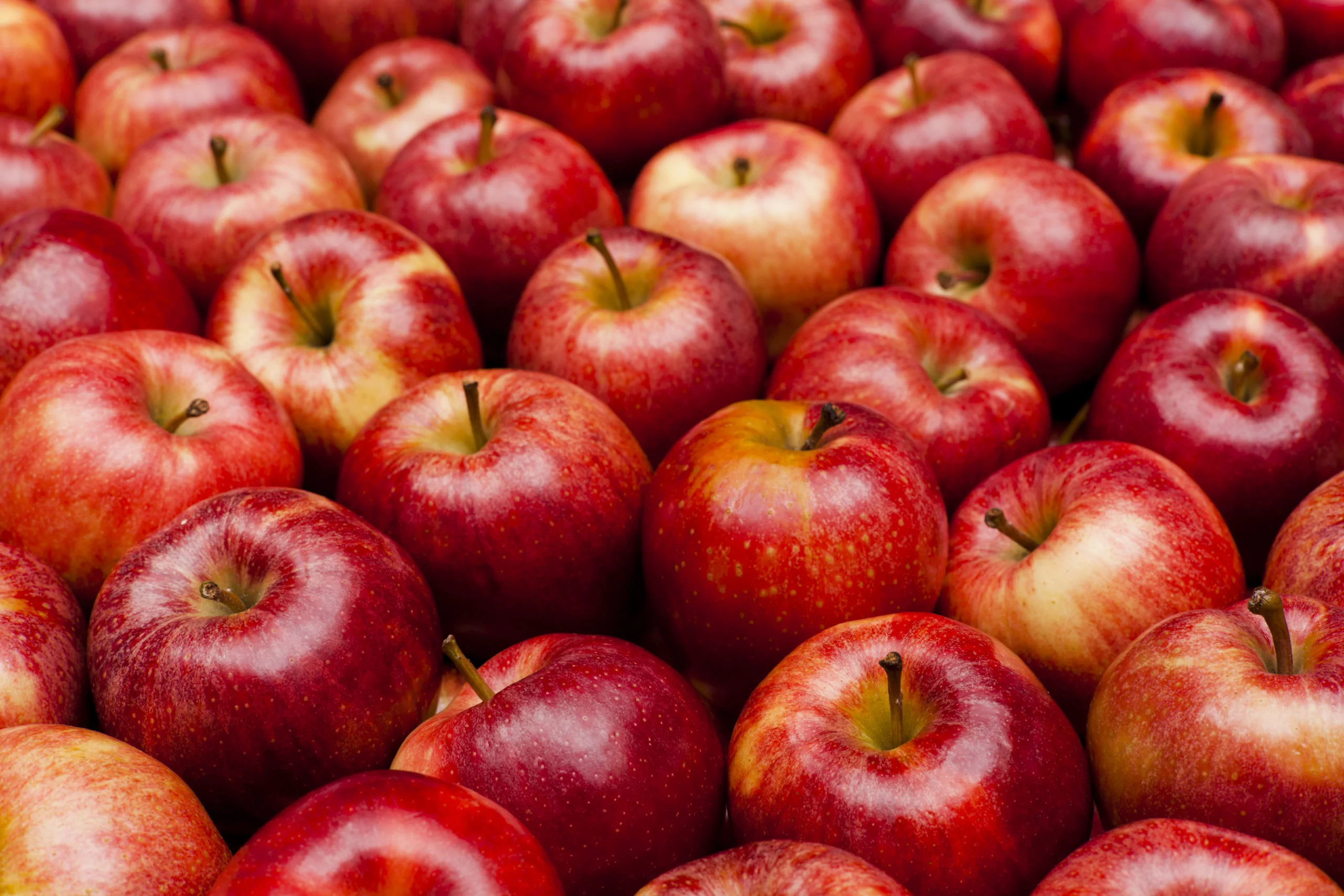 Diabète : la pomme n’est pas l’ennemie de la glycémie