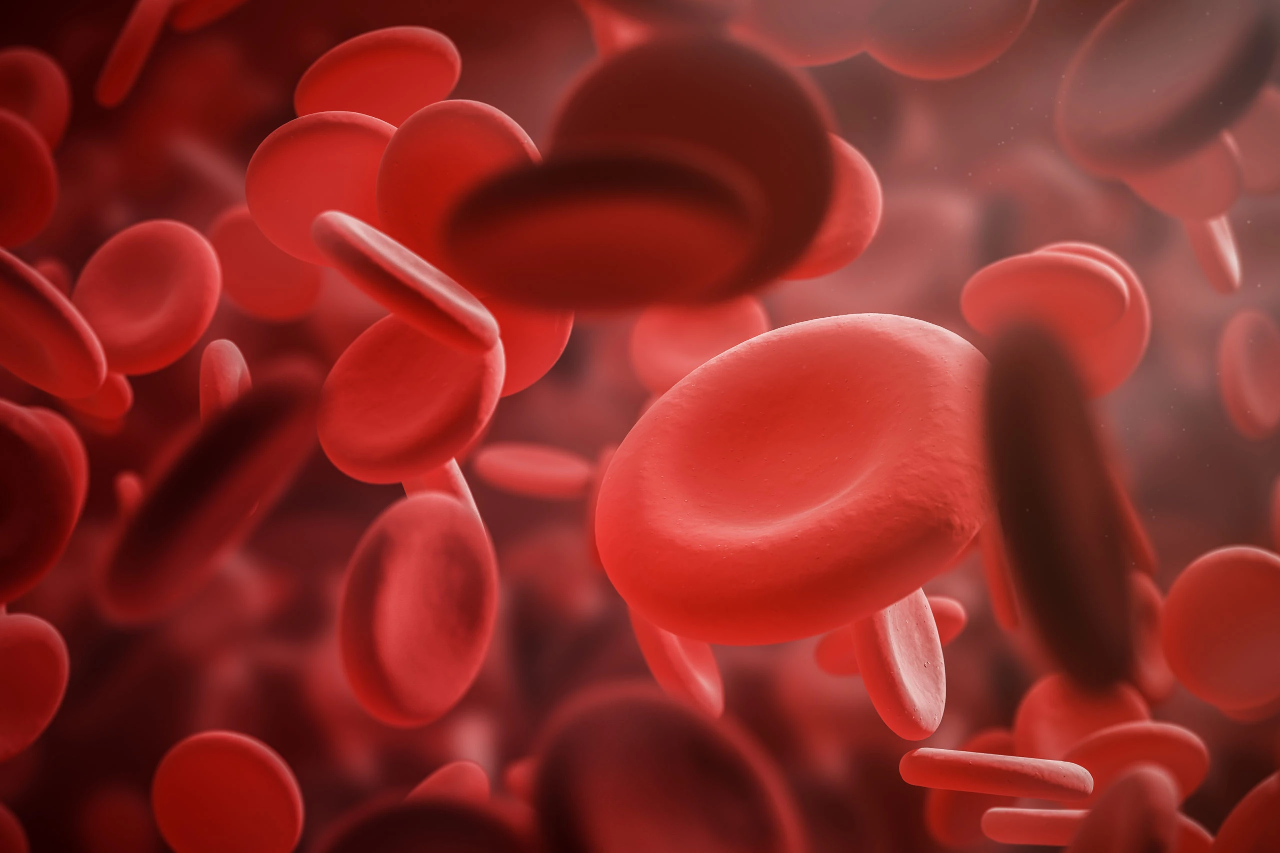 Quand les globules rouges deviennent des « éponges à glucose »