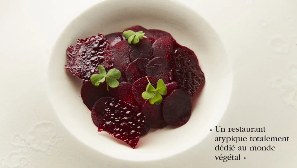 Nicolas Decloedt - Humus x Hortense