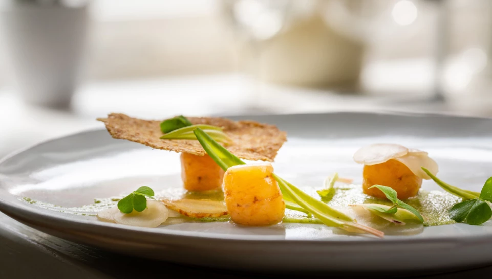 Nicolas Decloedt - Humus x Hortense