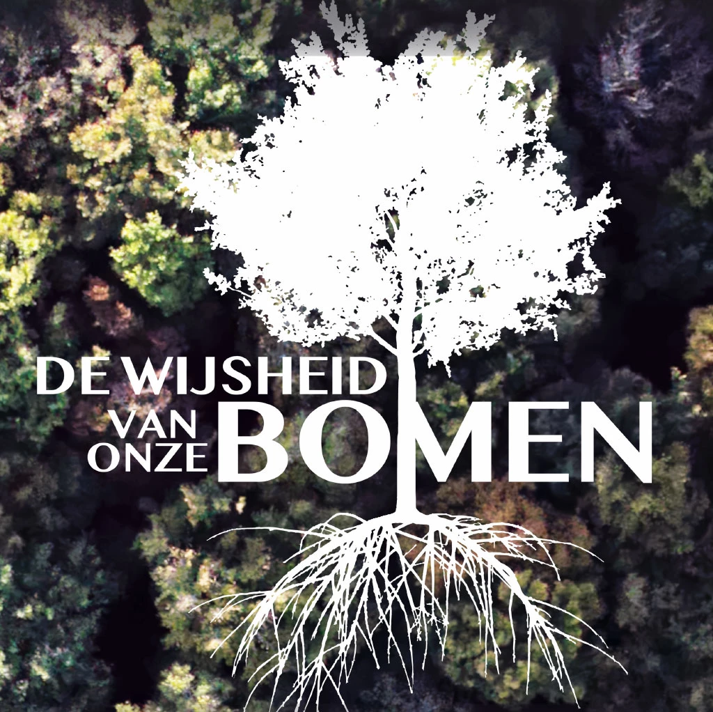 De wijsheid van onze bomen,  van Thierry Dory - <p class="p1"><i>“ We kijken niet meer naar wat we zien ”</i></p>