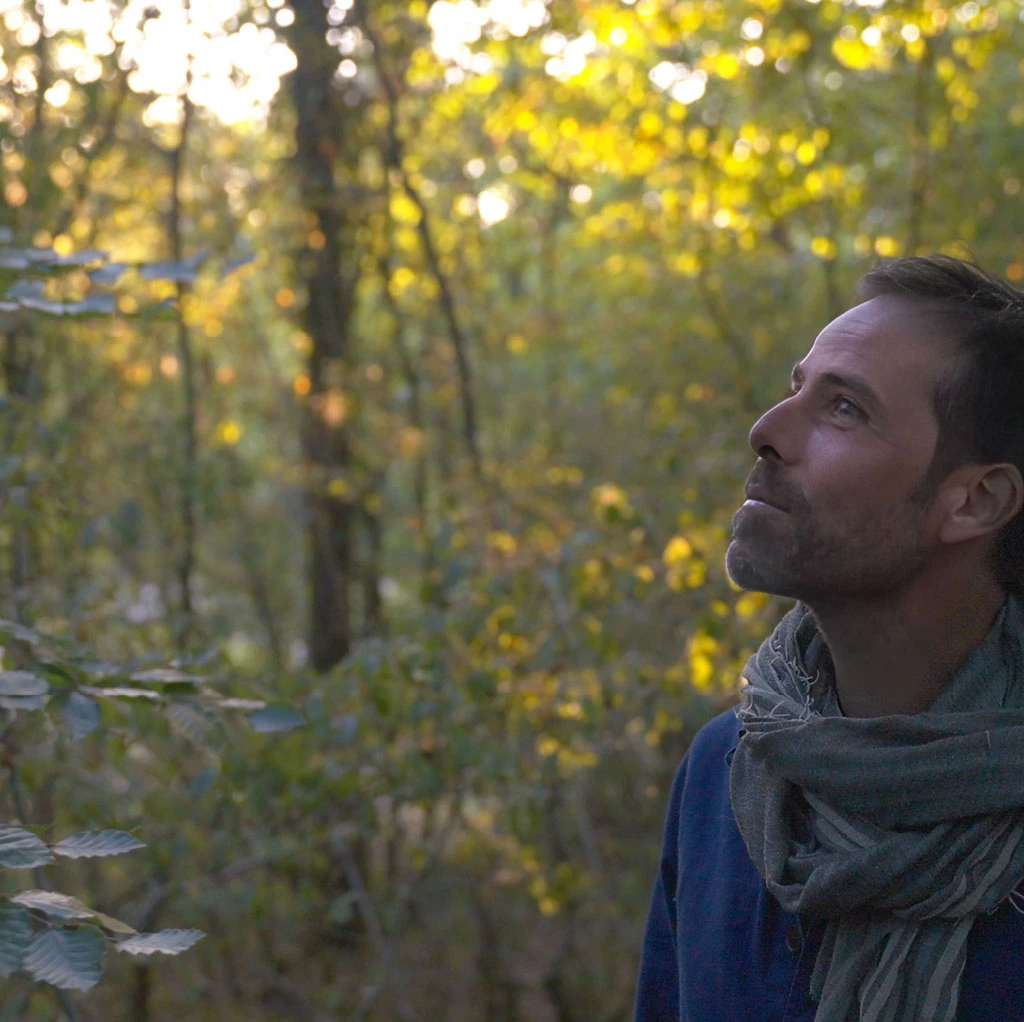 La Sagesse de nos Arbres,  de Thierry Dory