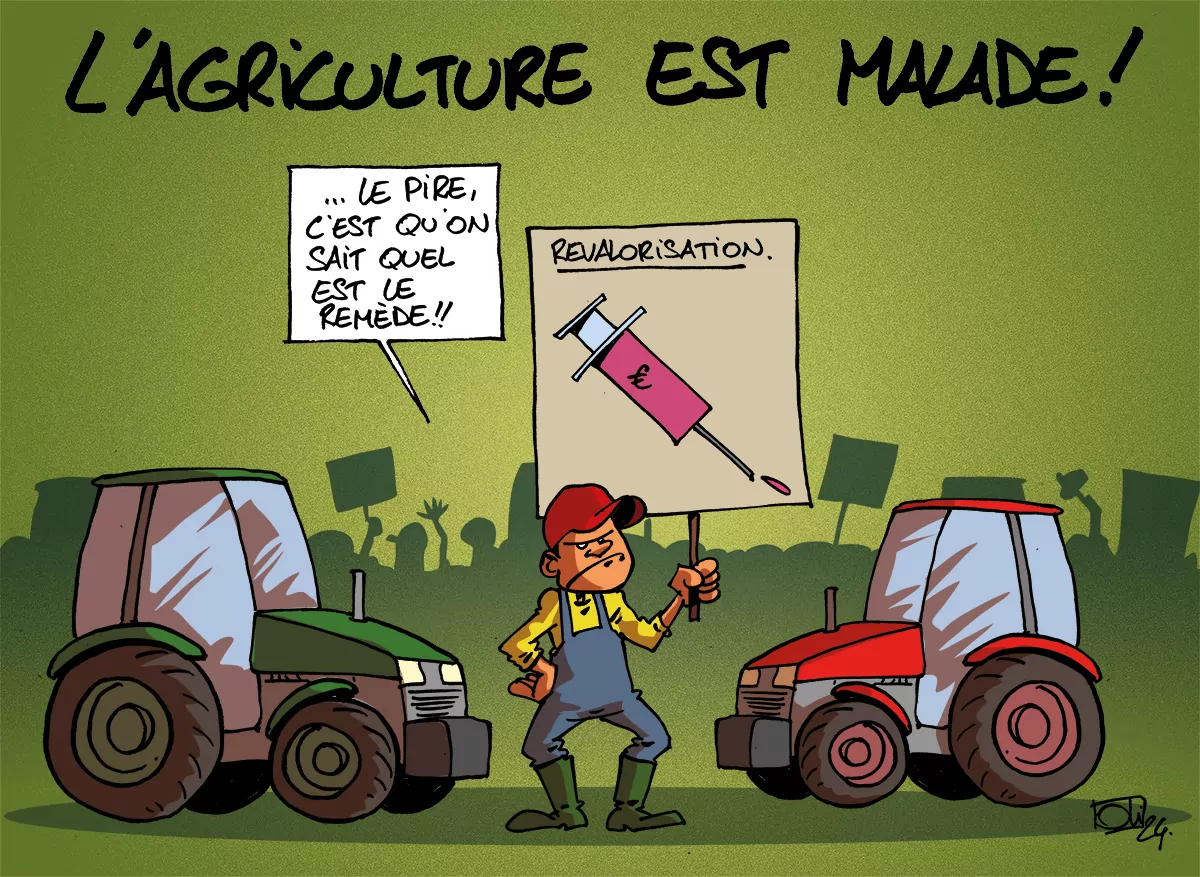 MS20240130_Agriculture-FR-1200