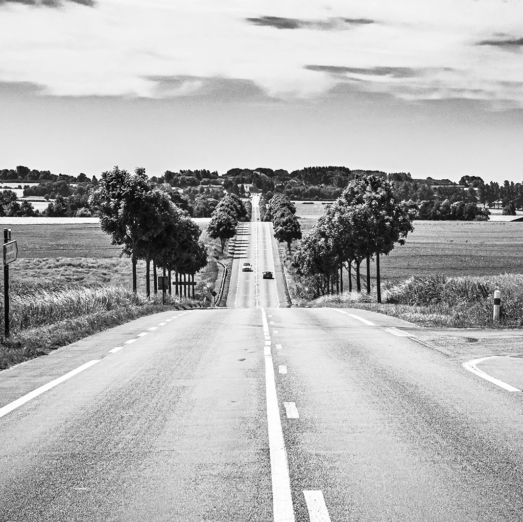 Olivier le Maire de Warzée - <p class="vc_custom_heading">Jagen op beelden</p>