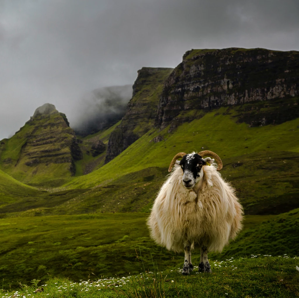 Cédric Brion - <p class="p1">Ik wil gevoelens vereeuwigen</p>